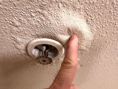 About TrueBlue Water Restoration - water damage restoration experts in Santaquin, UT